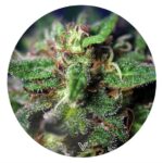 Silikonmatte Blue Dream