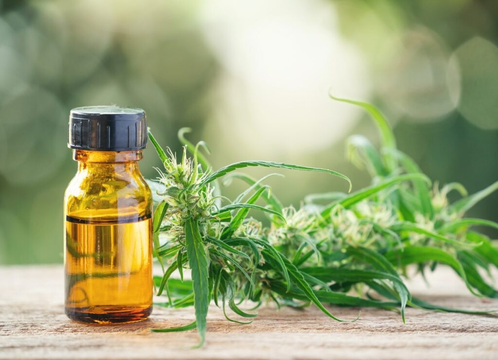 cannabis with cannabidiol (cbd) extract in a shopping cart