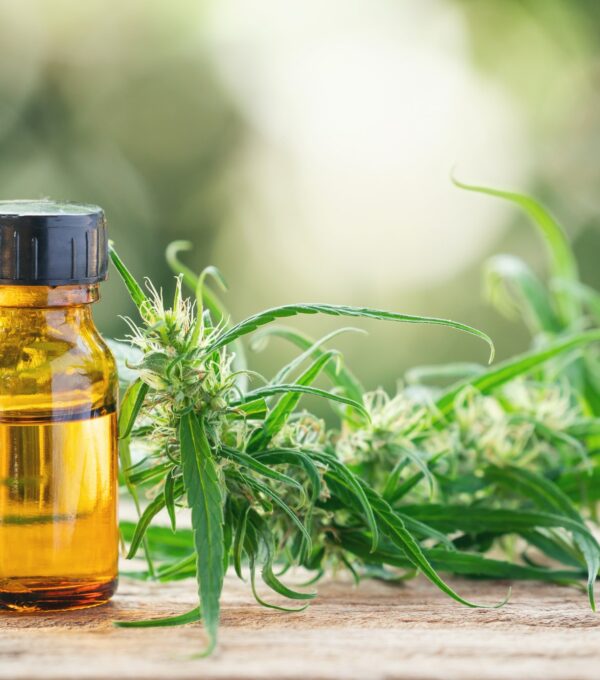 cannabis with cannabidiol (cbd) extract in a shopping cart