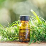 cannabis with cannabidiol (cbd) extract in a shopping cart