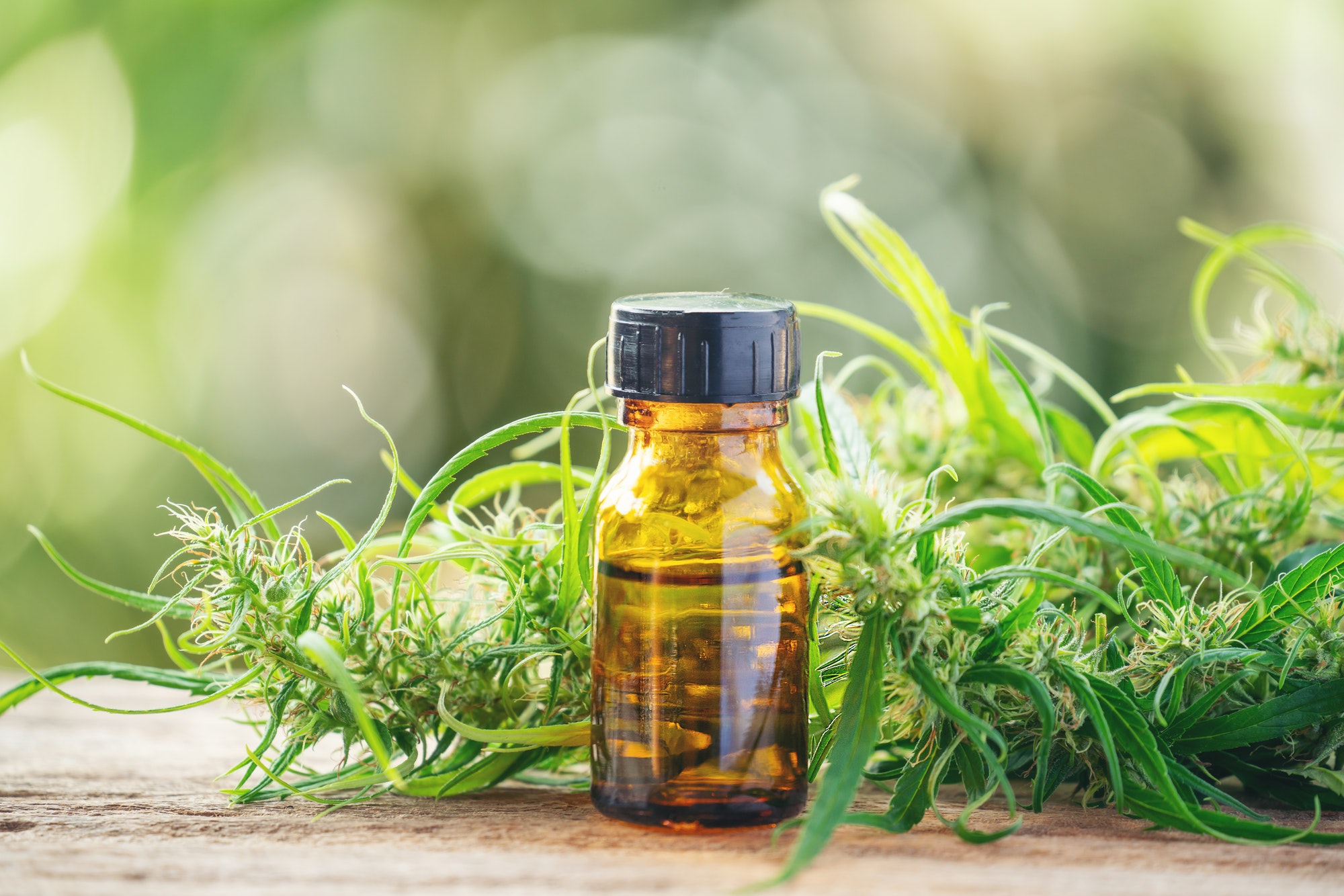 cannabis with cannabidiol (cbd) extract in a shopping cart