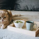 CBD Edibles, CBD-Infused Snacks, Hemp wafers with cannabis. Testy CBD Snacks in bowl and cup of