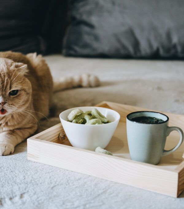 CBD Edibles, CBD-Infused Snacks, Hemp wafers with cannabis. Testy CBD Snacks in bowl and cup of