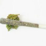 Marijuana joint isolated on white