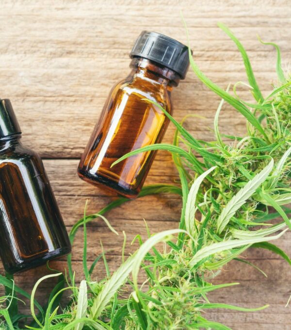 cannabis with cannabidiol (cbd) extract in a shopping cart