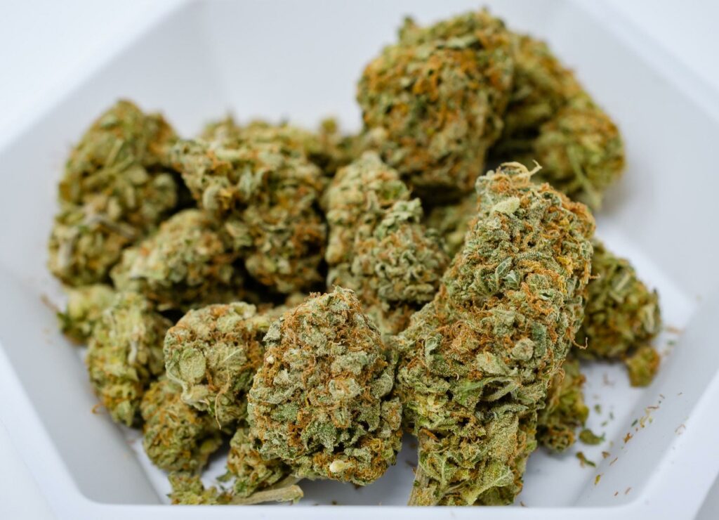 Medical cannabis against white background