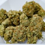 Medical cannabis against white background