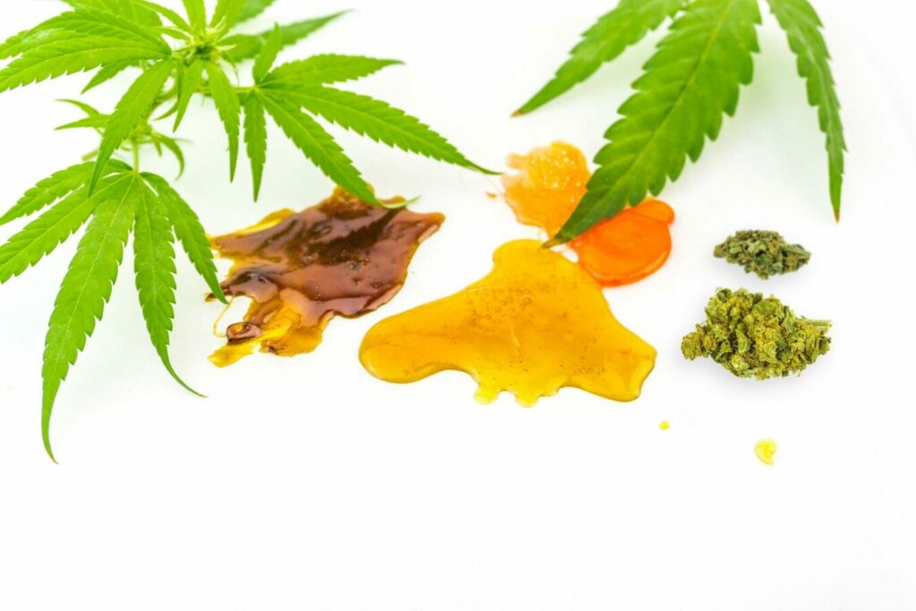 Cannabis CBD and Shatter rosin extracts with Hemp flowers