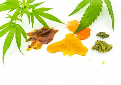 Cannabis CBD and Shatter rosin extracts with Hemp flowers