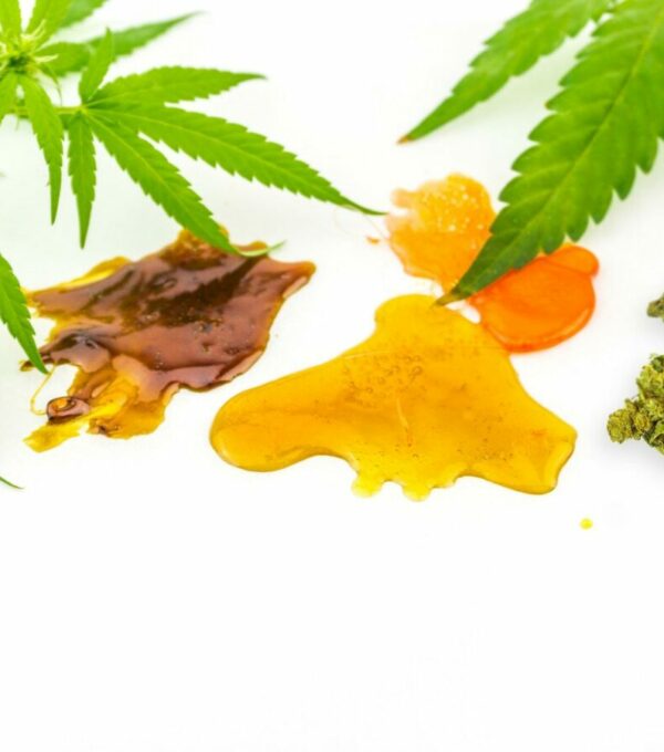 Cannabis CBD and Shatter rosin extracts with Hemp flowers