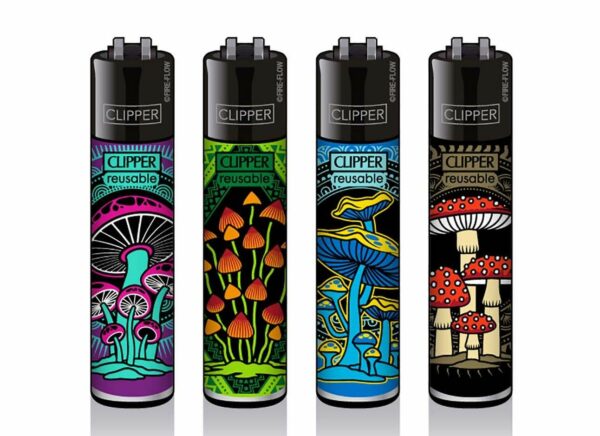 clipper-large-shrooms 5